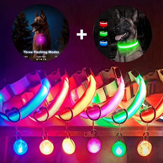 LED Dog Collar USB