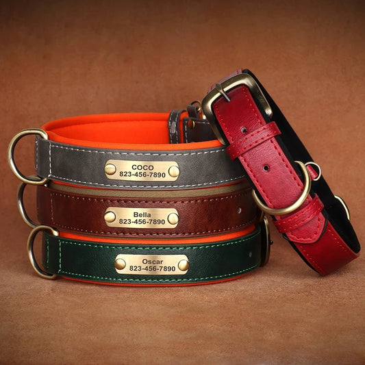 Custom Leather ID Dog Collar